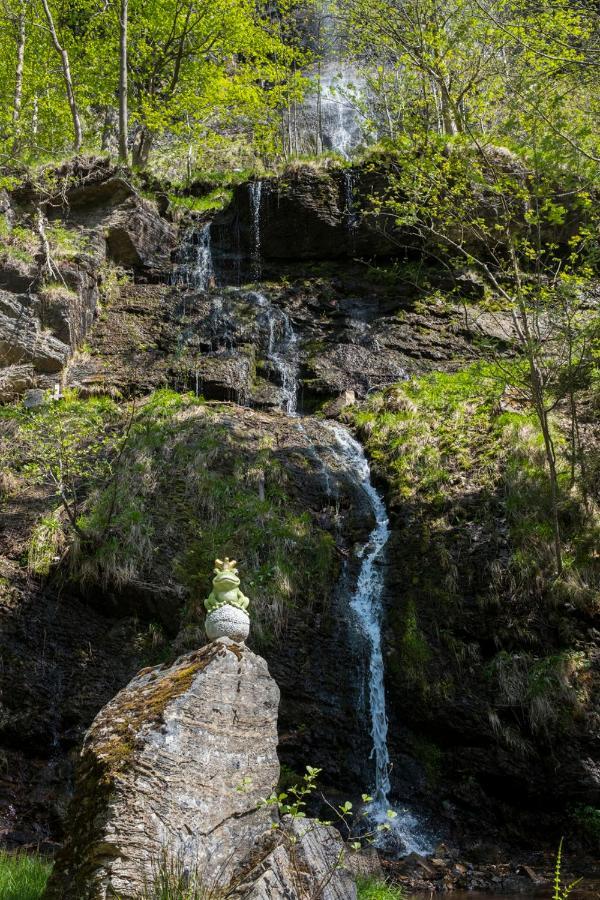 Koenigreich Romkerhall Schulenberg im Oberharz Exteriör bild