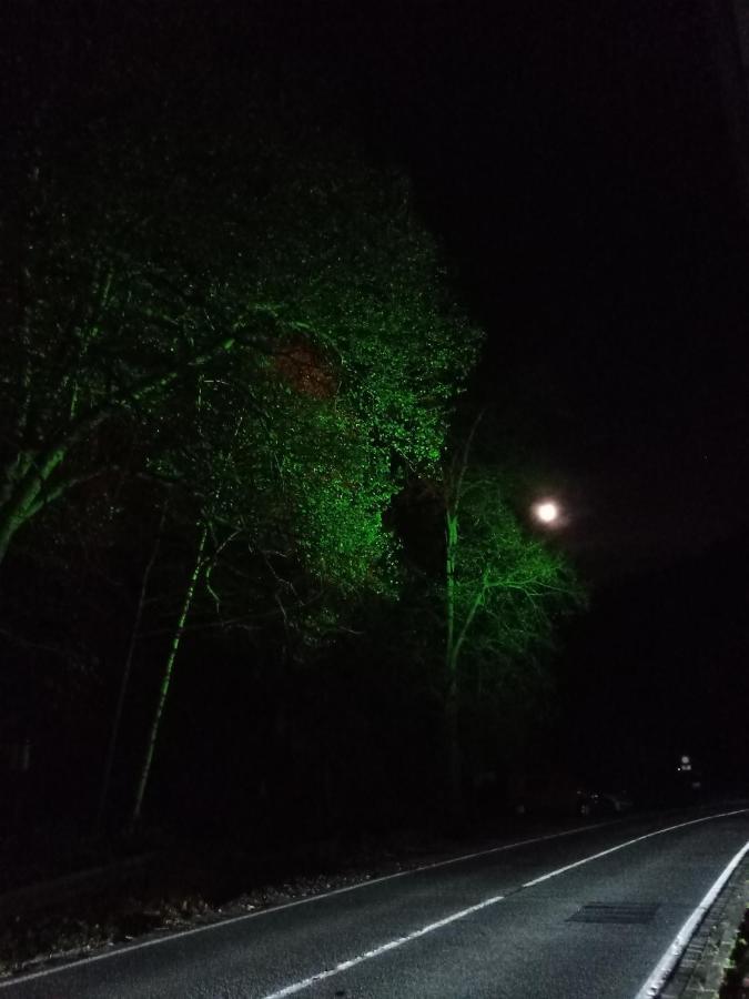 Koenigreich Romkerhall Schulenberg im Oberharz Exteriör bild